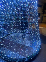 SOPHIA - ゆうかの女の子ブログ画像