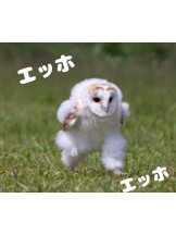 Club La Tour - 小沢 ふみ(コザワ フミ)の女の子ブログ画像