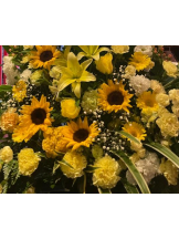 SOPHIA - さなの女の子ブログ画像