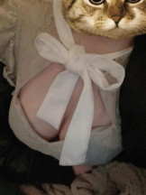 SOPHIA - さなの女の子ブログ画像