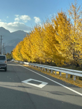 SOPHIA - みゆうの女の子ブログ画像