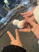 SOPHIA - あおいの女の子ブログ画像