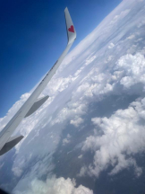 SOPHIA - あおいの女の子ブログ画像