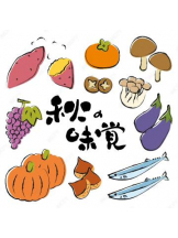 PURITY - おとはの女の子ブログ画像