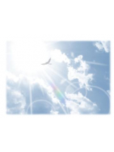 PURITY - おとはの女の子ブログ画像