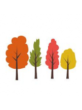 PURITY - おとはの女の子ブログ画像