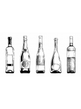 PURITY - おとはの女の子ブログ画像