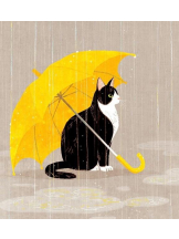 PURITY - おとはの女の子ブログ画像