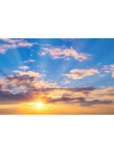 PURITY - おとはの女の子ブログ画像