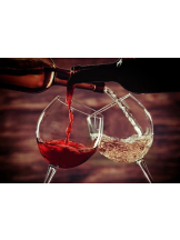 PURITY - おとはの女の子ブログ画像