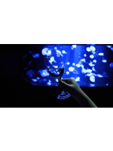 PURITY - おとはの女の子ブログ画像