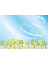 PURITY - おとはの女の子ブログ画像