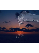 PURITY - おとはの女の子ブログ画像