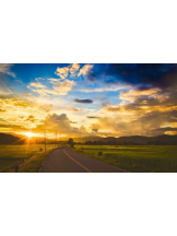 PURITY - おとはの女の子ブログ画像