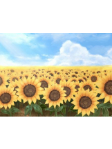 PURITY - おとはの女の子ブログ画像