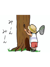 PURITY - おとはの女の子ブログ画像