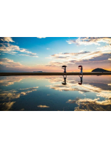 PURITY - おとはの女の子ブログ画像