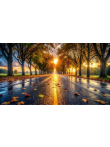 PURITY - おとはの女の子ブログ画像