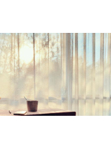 PURITY - おとはの女の子ブログ画像