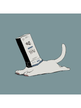 PURITY - おとはの女の子ブログ画像