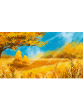 PURITY - おとはの女の子ブログ画像