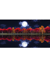 PURITY - おとはの女の子ブログ画像