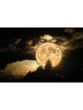 PURITY - おとはの女の子ブログ画像