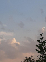 PURITY - おとはの女の子ブログ画像