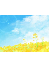 PURITY - おとはの女の子ブログ画像