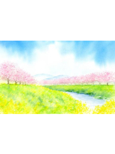 PURITY - おとはの女の子ブログ画像