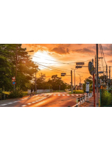 PURITY - おとはの女の子ブログ画像