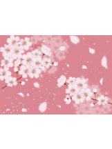 PURITY - おとはの女の子ブログ画像