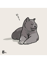 PURITY - おとはの女の子ブログ画像