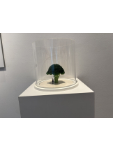 Club Queen - アスカの女の子ブログ画像