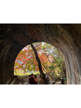 Club Queen - アスカの女の子ブログ画像