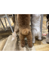 Club Queen - アスカの女の子ブログ画像