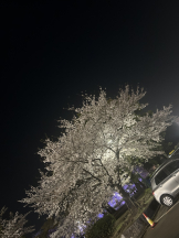 Club La Tour - 早乙女 なな(サオトメ ナナ)の女の子ブログ画像