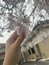 Club La Tour - 早乙女 なな(サオトメ ナナ)の女の子ブログ画像