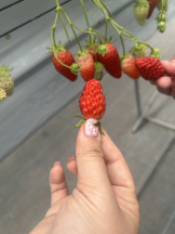 Club La Tour - 早乙女 なな(サオトメ ナナ)の女の子ブログ画像