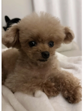 Club La Tour - 早乙女 なな(サオトメ ナナ)の女の子ブログ画像