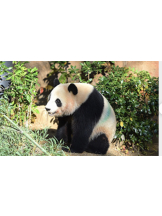 Club La Tour - 早乙女 なな(サオトメ ナナ)の女の子ブログ画像