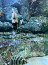 PURITY - あきなの女の子ブログ画像