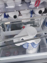 PURITY - あきなの女の子ブログ画像