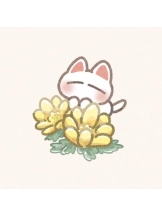 PURITY - あきなの女の子ブログ画像