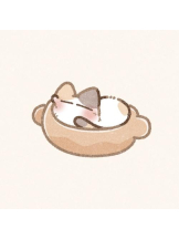 PURITY - あきなの女の子ブログ画像