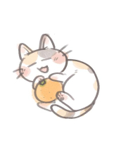 PURITY - あきなの女の子ブログ画像