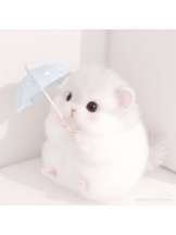 Club La Tour - 碧羽 そら(アオバ ソラ)の女の子ブログ画像