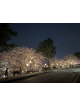 ABBU - あやみの女の子ブログ画像