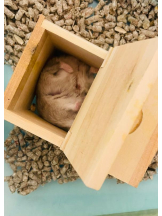 PURITY - りんの女の子ブログ画像