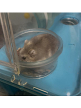 PURITY - りんの女の子ブログ画像